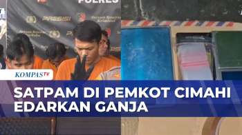 Satpam Di Pemkot Cimahi Ditangkap Usai Edarkan Narkotika Jenis Ganja | BERITA UTAMA