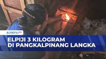 Elpiji 3 Kg Di Pangkalpinang Langka, Warga Mulai Beralih Ke Kayu Bakar | BERITA UTAMA