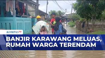 Curah Hujan Tinggi Picu Banjir di Karawang, 2 Desa Terendam | BERITA UTAMA