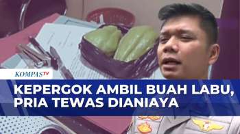 Pria Tewas Dianiaya Gara-Gara Ambil 2 Buah Labu Siam, Penjaga Kebun Jadi Tersangka | KOMPAS MALAM