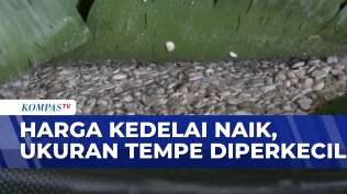 harga-kedelai-mahal-produsen-tempe-pilih-kecilkan-ukuran-sapa-siang