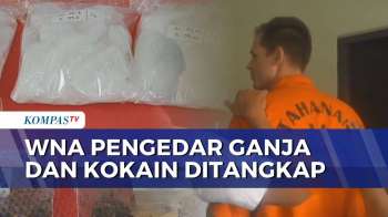 WN Belarus Ditangkap Di Bali, Edarkan Ganja Dan Kokain Jaringan Internasional | BORGOL