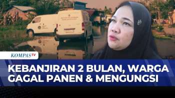 Banjir 2 Bulan Di Luwu Utara Rendam 300 Rumah & 50 Hektare Lahan Pertanian