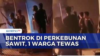 Mencekam! Bentrok Antar Warga Di Area Perkebunan Sawit Tewaskan 1 Warga | BERITA UTAMA