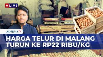 Pasokan Melimpah, Harga Telur Di Malang Turun Hingga Rp22 Ribu Per Kilogram | KOMPAS SIANG