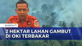 Kebakaran Lahan Gambut 2 Hektar di OKI, Petugas Berjibaku Padamkan Api Selama 2 Hari