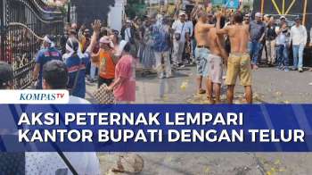 Peternak Ayam Dan Telur Di Pati Demo, Protes Harga Anjlok Dan Biaya Produksi Tinggi | BERUT