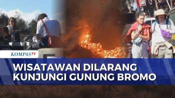Kebakaran Terus Meluas, Pengunjung Dilarang Masuk Objek Wisata Gunung Bromo | SAPA SIANG
