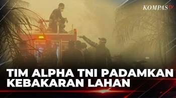 Tim Alpha TNI Padamkan Karhutla di Palangka Raya, Asap Pekat-Jarak Pandang Terbatas | SAPA MALAM