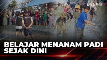 Komunitas Di Sigi Manfaatkan Persawahan Jadi Area Edukasi Menanam Padi Bagi Anak-Anak