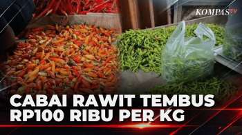 Harga Cabai Rawit Di Samarinda Naik Jadi Rp100 Ribu, Jeruk Nipis Capai Rp20 Ribu | KOMPAS SIANG