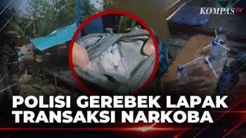 Penggerebekan Indekos Dan Lapak-Lapak Transaksi Narkoba Di Cengkareng Jakbar | BORGOL