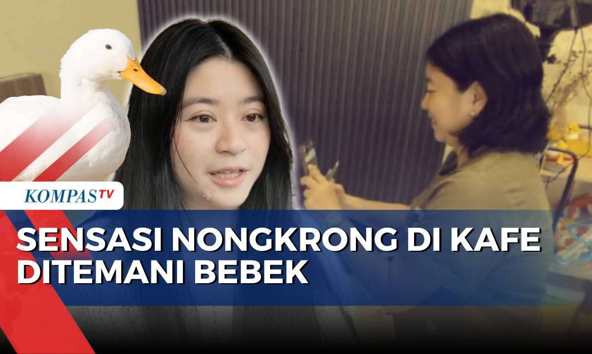 Unik! Kafe di Malang Beri Sensasi Pengunjung Bisa Bersantai Ditemani Bebek