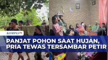 Panjat Pohon Saat Hujan, Pria Di Bulukumba Tewas Tersambar Petir | BERITA UTAMA