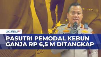 Polisi Tangkap Pasutri Pemodal Kebun Ganja Di Jombang | BORGOL