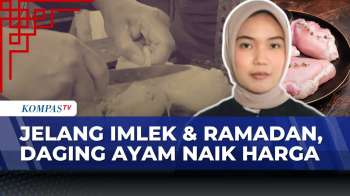 Jelang Ramadan, Harga Daging Ayam Di Kota Malang Melonjak | SAPA PAGI