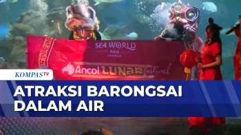 Ancol Gelar Pertunjukan Barongsai Di Dalam Air | SAPA PAGI