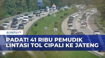 Padat! 41 Ribu Kendaraan Pemudik Lintasi Tol Cipali Ke Jawa Tengah, Antrean Mengular