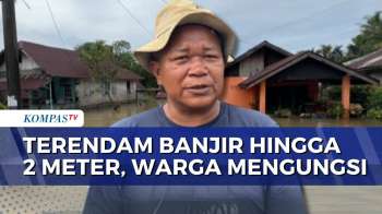 Banjir Setinggi 2 Meter Rendam 2 Kelurahan Di Bengkulu, Warga Mengungsi | INDO UPDATE