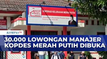 Pemerintah Buka Lowongan Manajer Kopdes Merah Putihko & Kampung Nelayan Merah Putih | JMP