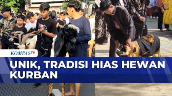 Tradisi Mengarak Hewan Kurban di Malang Hingga Hias Domba di Sukabumi | SAPA MALAM