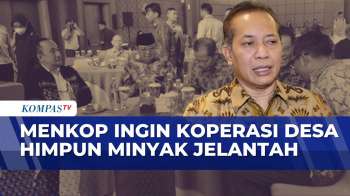 Kementerian Koperasi Dorong Pengumpulan Minyak Jelantah Lewat Koperasi Desa Dan Kelurahan