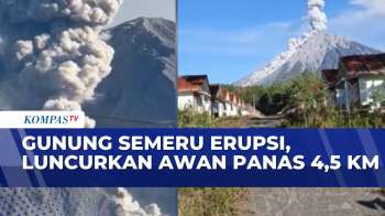 Gunung Semeru Erupsii, Awan Panas Meluncur Sejauh 4,5 Kilometer | BERITA UTAMA