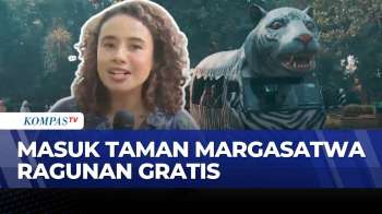 Tiket Masuk Ragunan Gratis Saat HUT Jakarta, Pengunjung Membludak | KOMPAS SIANG