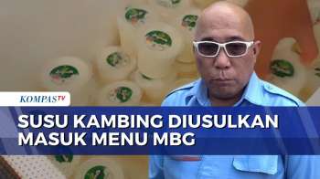 BAKOM RI Usulkan Susu Kambing Masuk Pilihan Menu MBG | JMP