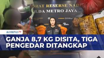 Polisi Bongkar Peredaran Ganja Bermodus Media Sosial, Barang Bukti 8,7 Kilogram Disita | BERUT