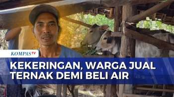 Kekeringan Parah Di Gunungkidul, Warga Terpaksa Jual Ternak Demi Beli Air Bersih | SAPA MALAM
