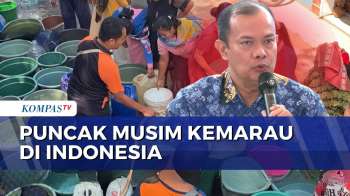 BMKG soal Puncak Musim Kemarau Agustus-September 2026 | SAPA MALAM