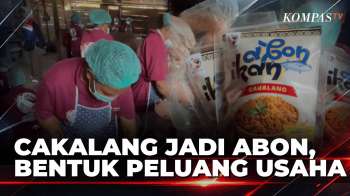 Dari Ikan Cakalang Jadi Abon, Perempuan Kampung Seget Kembangkan Usaha | SAPA SIANG