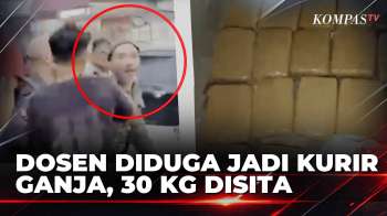 Dosen Diduga Jadi Kurir Ganja, BNNP Sumbar Tangkap 2 Pelaku Dan Sita 30 Kg | BERUT