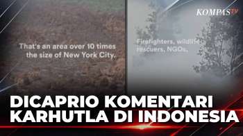 Leonardo DiCaprio Soroti Karhutla Indonesia, 800 Ribu Hektare Hutan Terbakar | SAPA MALAM