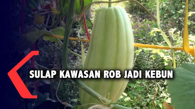 Dulu Berjibaku Sekarang 