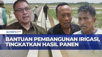 60 Petani Di Desa Krandon Pekalongan Rasakan Manfaat Bantuan Irigasi, Panen Capai 7 Ton Per Hektare