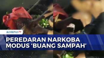 Modus 'Buang Paket' Narkoba, Polisi Sita 120 Cartridge Vape Berisi Etomidate Di Cengkareng