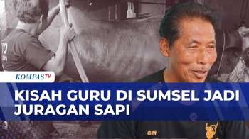 Inspiratif! Guru Matematika Di Sumsel Jadi Juragan Peternak Sapi | BERITA UTAMA