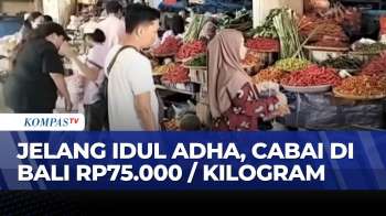 Harga Cabai Rawit Di Pasar Badung Tembus Rp75 Ribu Per Kilogram | KOMPAS SIANG