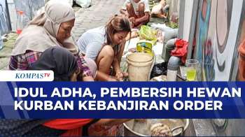 Warga Kampung Di Semarang Kebanjiran Order Jasa Pembersihan Hewan Kurban Saat Idul Adha