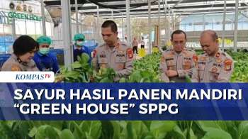 Perkuat Ketahanan Pangan Untuk MBG, Polda Metro Jaya Manfaatkan Green House Hidroponik  | JMP