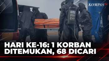 Hari ke-16: 1 Korban KM Virgo Kembali Ditemukan, 68 Masih dalam Pencarian | KOMPAS SIANG