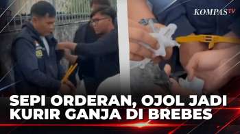 Pengemudi Ojol Asal Cirebon Ditangkap Di Brebes, Polisi Sita 4 Paket Ganja | BORGOL