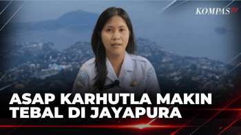 Kabut Asap Makin Tebal di Jayapura, BMKG Sebut Dampak Karhutla Lintas Batas | KOMPAS SIANG