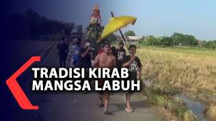 tradisi-kirab-mangsa-labuh-agar-hasil-bumi-melimpah