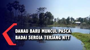 danau-baru-seluas-2-hektar-di-kupang-muncul-setelah-badai-seroja