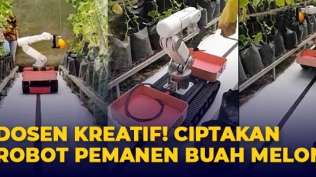 kreatif-dosen-udinus-dan-ipb-ciptakan-robot-pemetik-melon