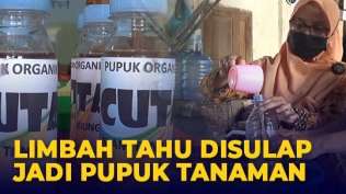 inovatif-guru-di-blitar-ubah-limbah-tahu-jadi-pupuk-organik