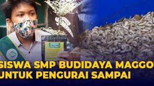 kreatif-siswa-smp-di-surabaya-sukses-ternak-maggot-dari-limbah-sampah